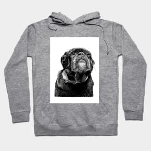 Beaster Hoodie